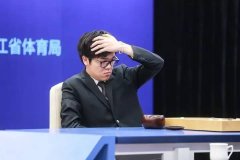 一面是进步一面是套——谈谈计算机人工智能（ 