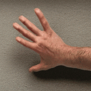 里的参数可能包罗任何取模子相关的设定 